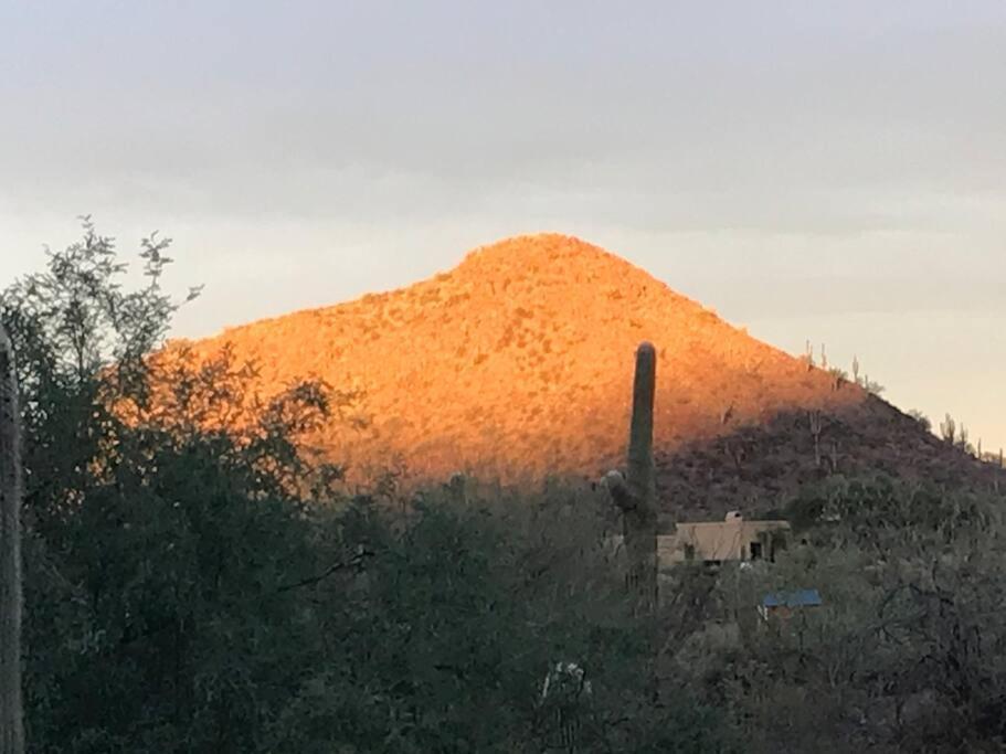 Villa Tucson Mnt Foothills Saguaro Bliss Exterior foto